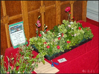 Remembrance